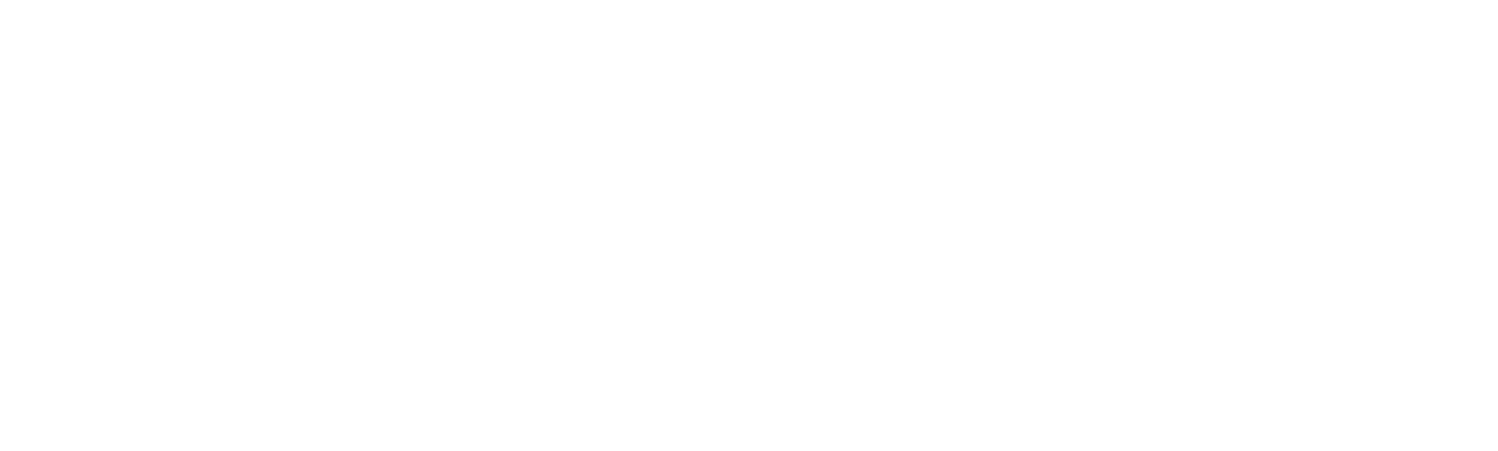 Pacer Solutions Logo